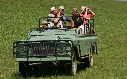 Photographic Destinations for Capturing the Magic of an African Safari – Luxury Tanzania Safaris