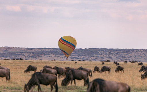 Tanzania Balloon Safari: A Magnificent Experience – Luxury Tanzania Safaris