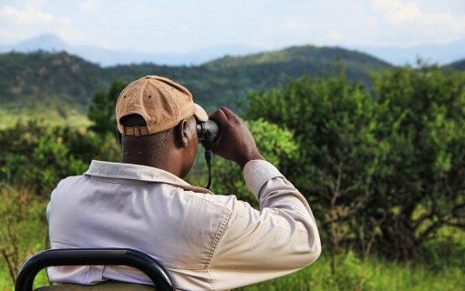 11 Irresistible Reasons To Embark On A Private Safari – Luxury Tanzania Safaris
