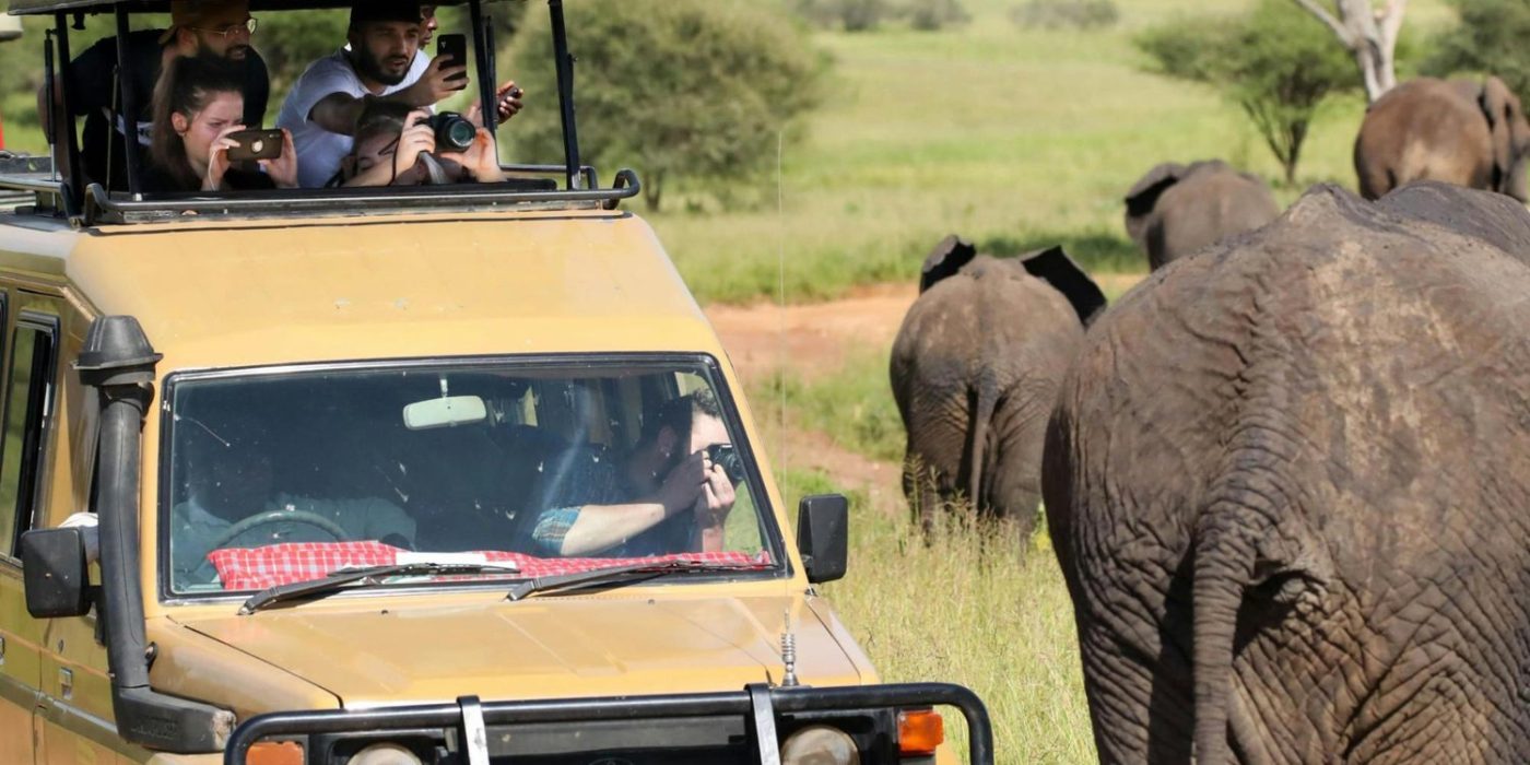 Land the Perfect Shot on a Tanzanian Photo Safari – Luxury Tanzania Safaris