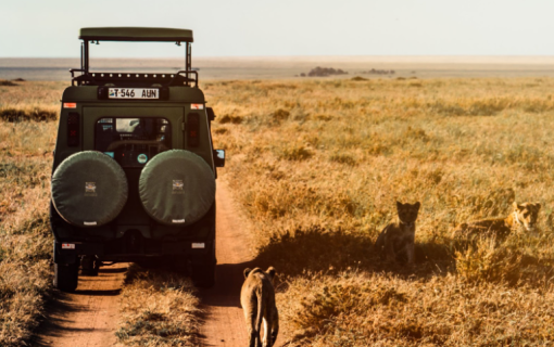 Creating Lasting Memories: Family Safaris with a Purpose – ATA Luxury Tanzania Safaris