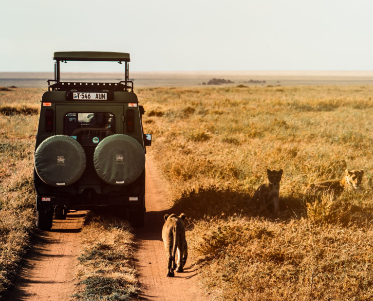 Creating Lasting Memories: Family Safaris with a Purpose – ATA Luxury Tanzania Safaris