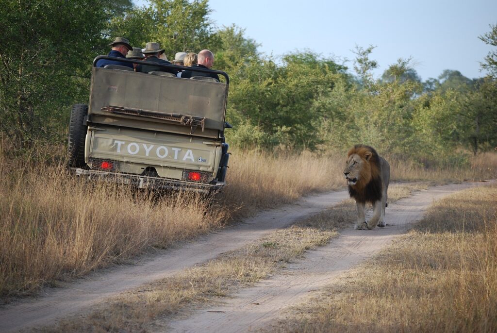 A Guide to off the Beaten Path Safari Destinations in Africa – Luxury Tanzania Safaris