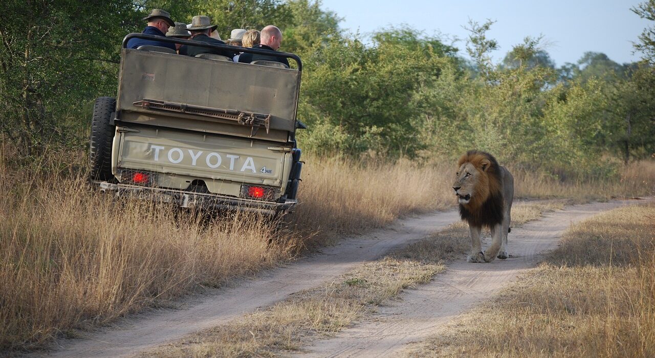 Do’s and Don’ts for Responsible Wildlife Viewing – Safari Etiquette Guide – Luxury Tanzania Safaris