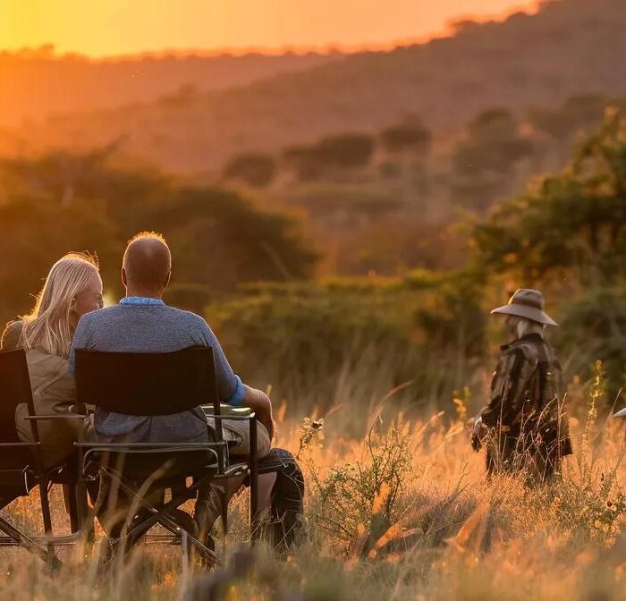 a a breathtaking wildlife safari 7849568a 7035 4215 a61e 9093ae0a7929.webp