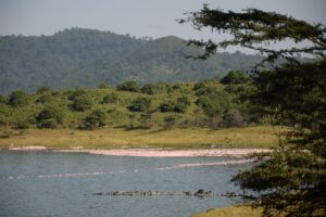 arusha tanzania 1.jpg