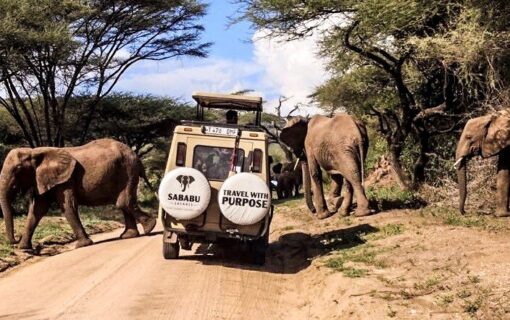 65+ Fun Facts About Tanzania Every Tourist Should Know (2025)