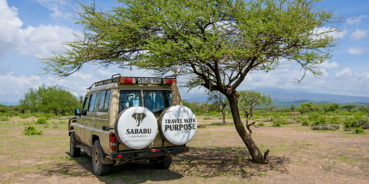 What to Do in Tanzania? Combining Safaris with Unique Adventures