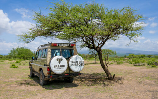 What to Do in Tanzania? Combining Safaris with Unique Adventures
