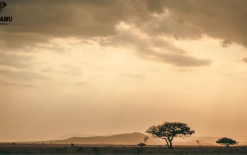 Exploring the Stunning Tanzania Landscape: A Nature Lovers Guide