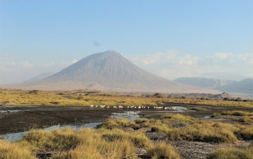 Is Tanzania Safe? Tips for a Safe and Fun Safari Experience